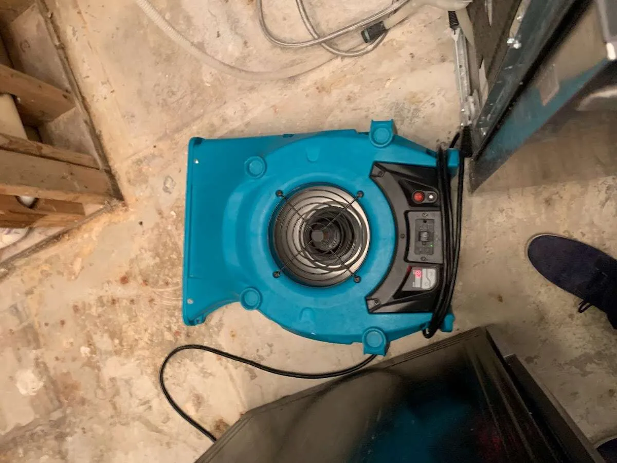 Air mover drying equipment for Mold Remediation & Removal in Oak Harbor