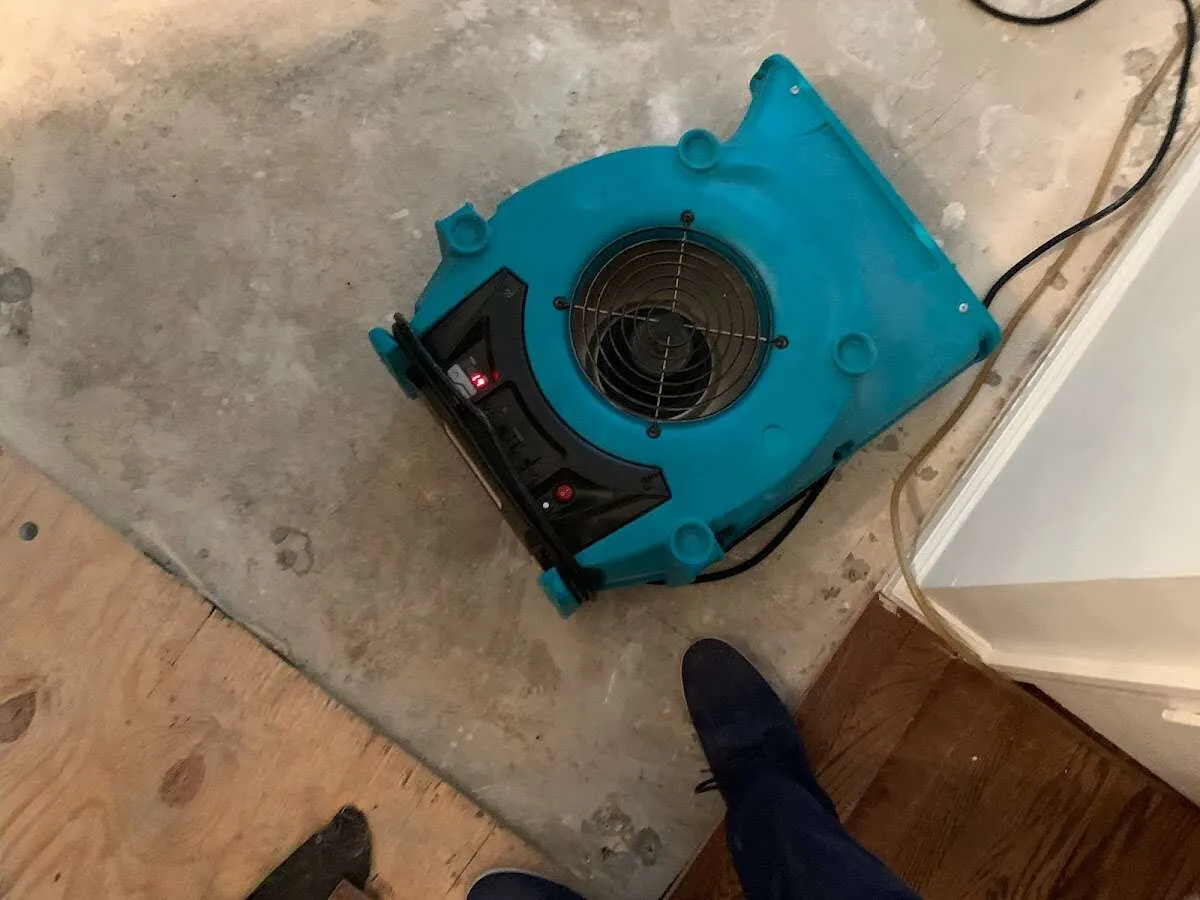 Air mover drying subfloor during Leak Detection & Repair in Oak Harbor